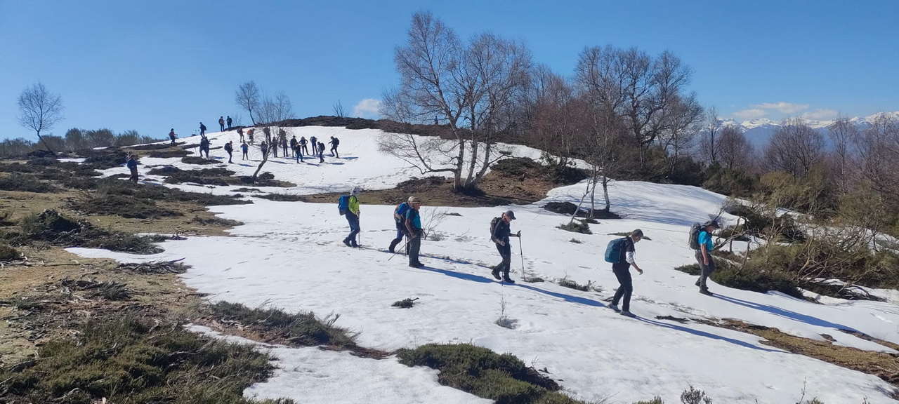 WhatsApp Image 2026-03-23 at 08.14.00 (1)